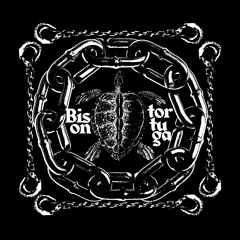 Bison - Tortuga (prod. Lucid Soundz)