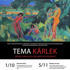 Sven Anders Johansson: Kärleken som kod