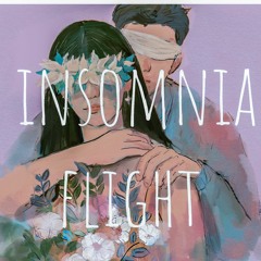 insomnia flight（高磊 remix）bootleg