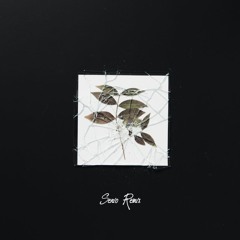 Charlie Puth - BOY (Senio Remix)