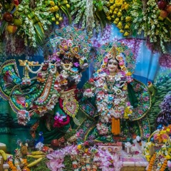 Stoka Krsna 6.9.19 Radhastami Abhishek Kirtan