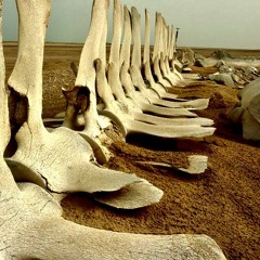 Backbone (Gojira Cover)