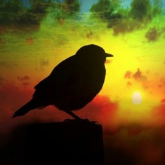 Furkan Arisoy- Anyone Of Us (Cover)