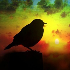 Furkan Arısoy- Hallelujah(2018)