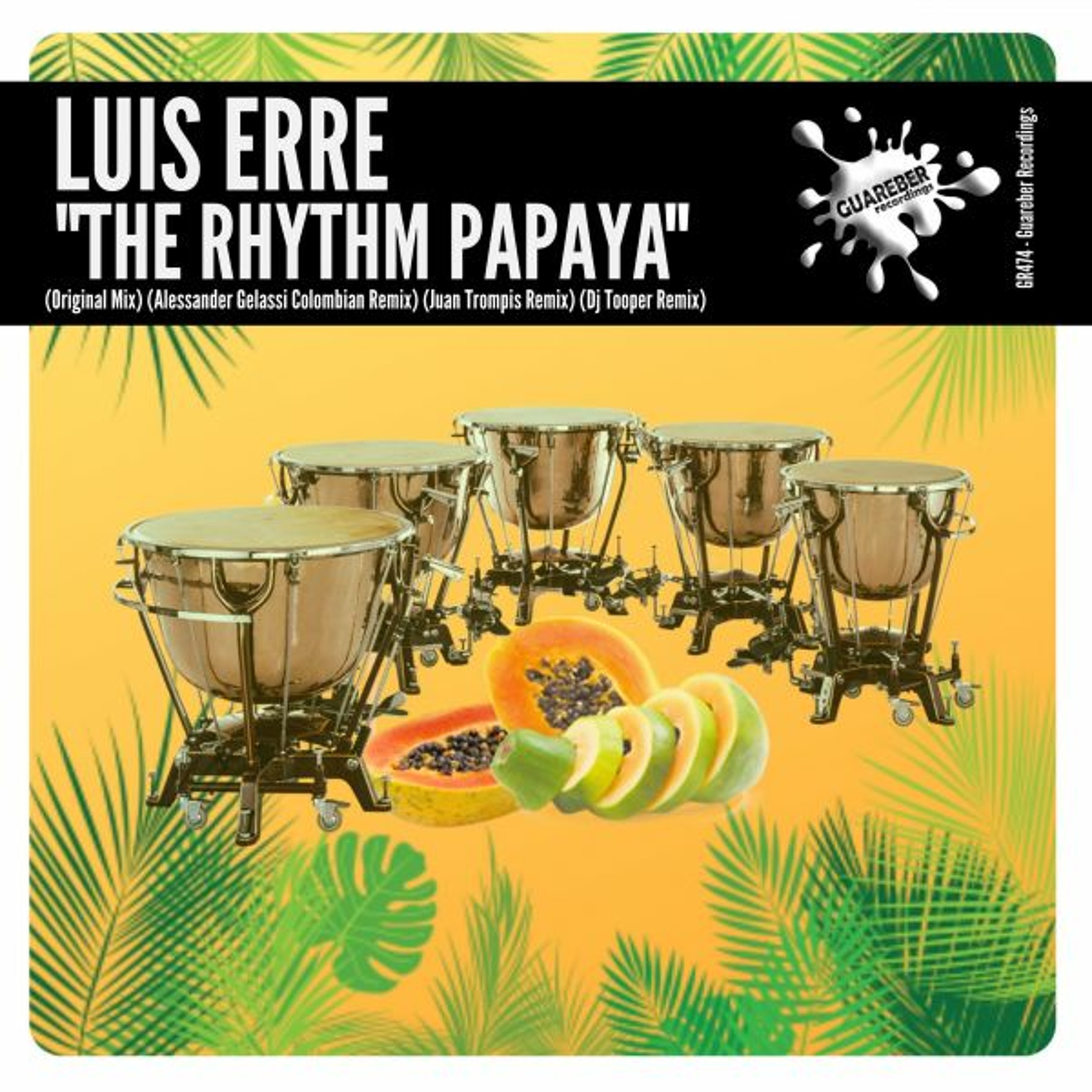 GR474 Luis Erre - The Rhythm Papaya (Original Mix) episode artwork