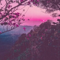 Soft Wave Vol. 2