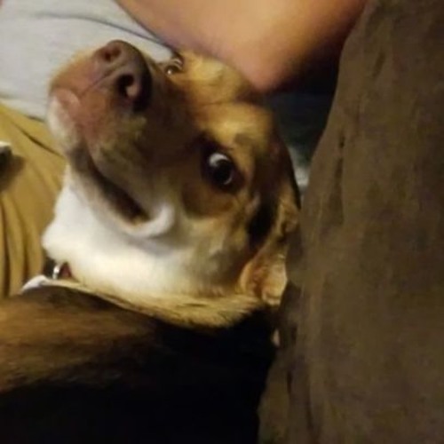 Stream episode Episode 2 Performance Enhancing Drugs by You're Right