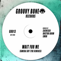 Wait For Me - Camera Shy (zacheser Remix)