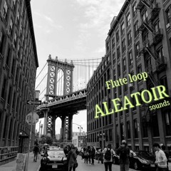 Flute Loop (Beastie Boys)