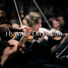 Hywall - Orchestra (Beethoven) [VIP]