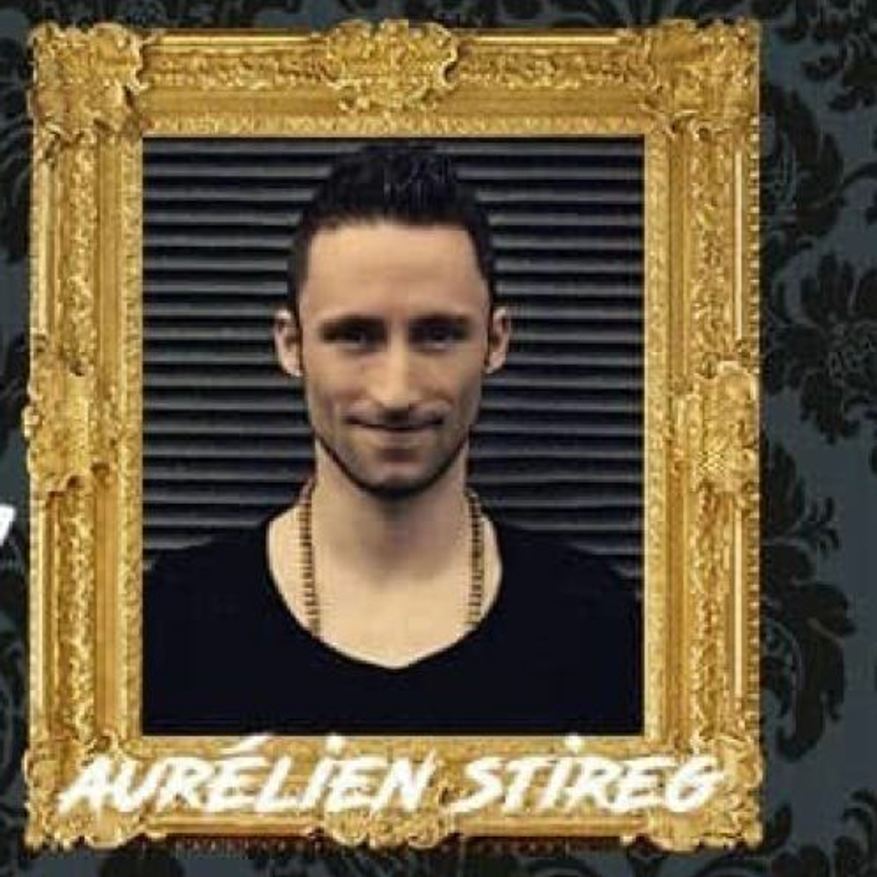 Aurelien Stireg
