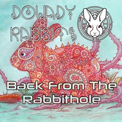 Douady Rabbits - Back From The Rabbithole [150]