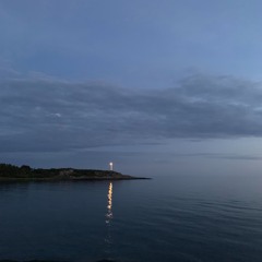 Swing among the trees