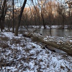 Stopping by Woods on a Snowy Evening (Poem by Robert Frost)