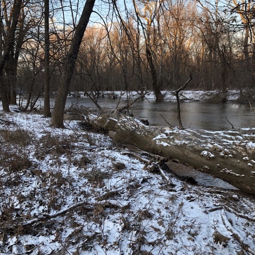 Stopping by Woods on a Snowy Evening (Poem by Robert Frost)