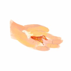 Death Of Chang The Little Fish