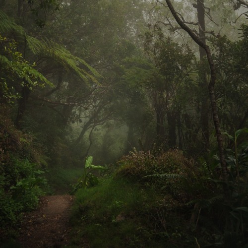 James Vincent McMorrow - Follow You Down to the Red Oak Tree (boynextdoor Edit) 🌲