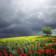 Summer Storm - Michael Orzek / Mirko Borach / Jamie Rhind