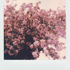 ما تيسر من سورة الأعراف | محمود القرشلي