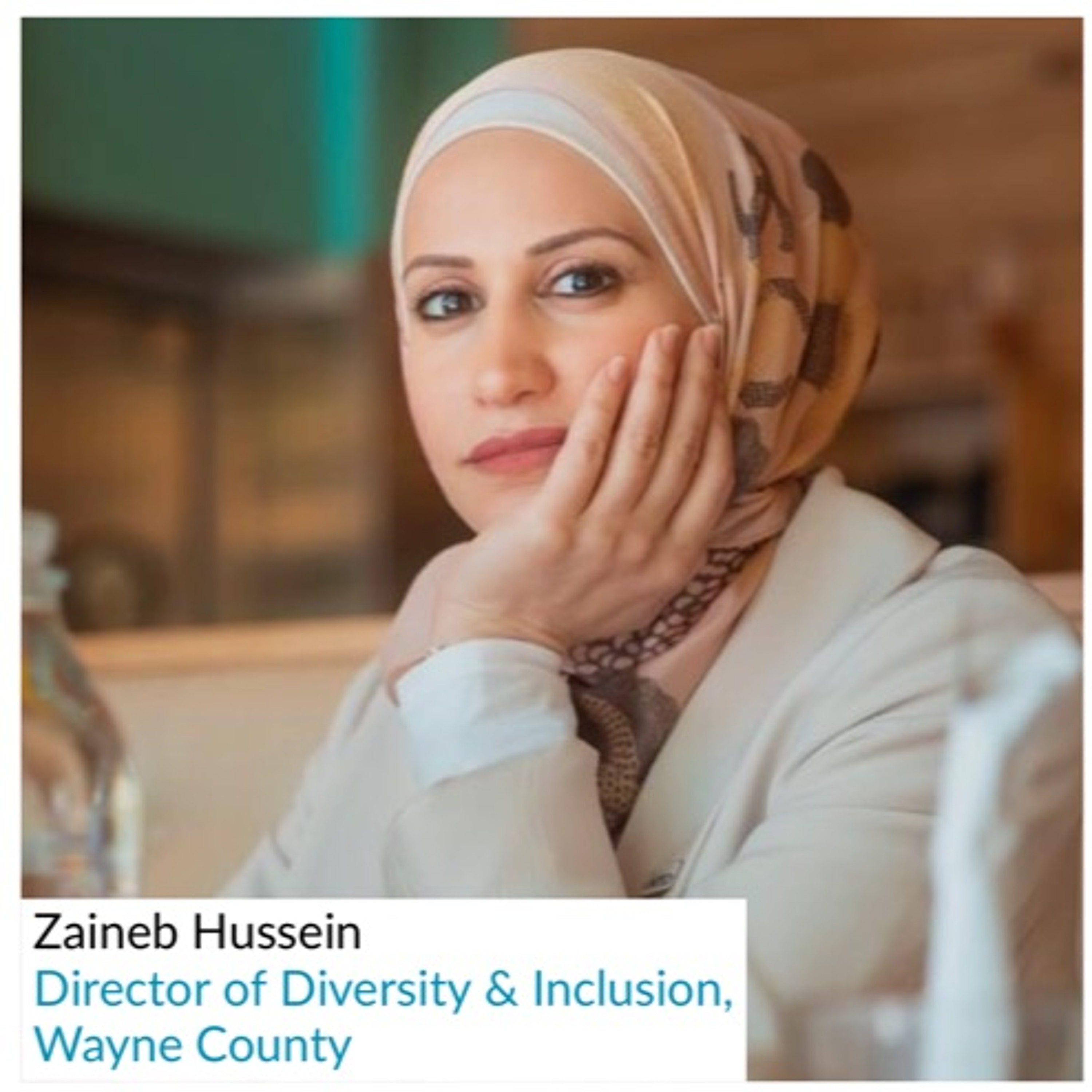 Zaineb Hussein - Director of Diversity & Inclusion, Wayne County (September 7, 2019) episode artwork