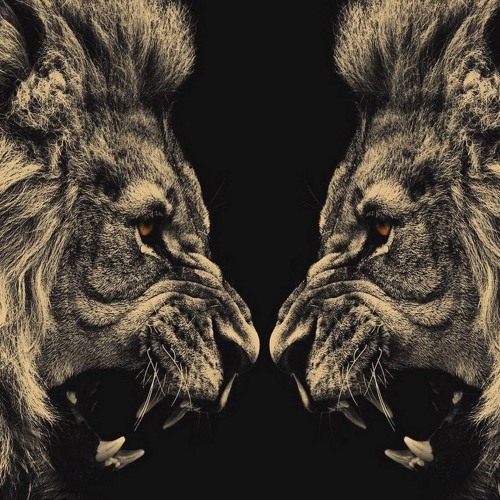 Spiritual Stereo (instrumental)