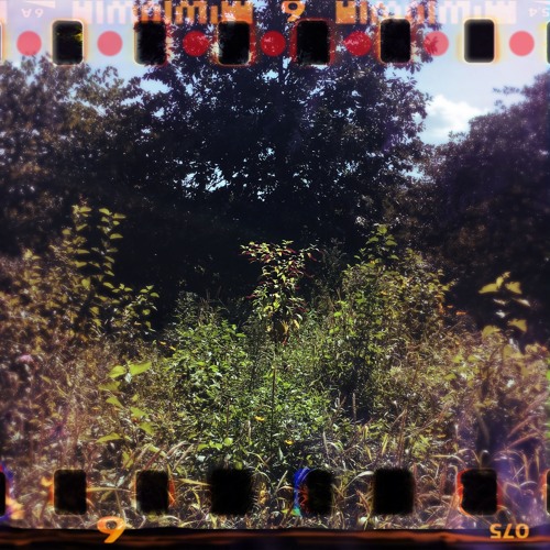 [disquiet0401] Rhythm of the Artificial Body