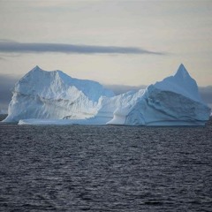 antarctic death
