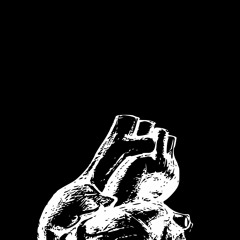 glass breaking + morning glories