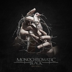 Monochromatic Black - Pneuma - 05 - Warmth Of The Sun
