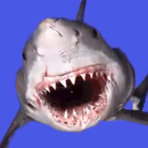 Jaws (Need a bigger boat)