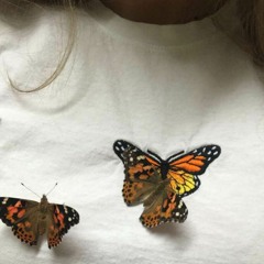 Happiness is a Butterfly- Lana Del Rey