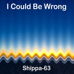 I Could Be Wrong