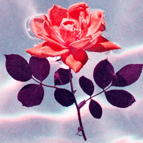 TAEYEON (태연) When We Were Young [COVER] by basotahu