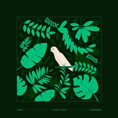 PREMIERE : Nigm - Ground Movement [Alexandar]