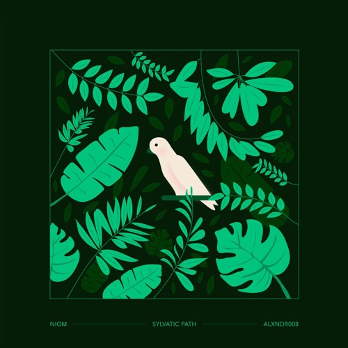PREMIERE : Nigm - Ground Movement [Alexandar]