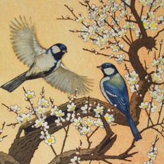 For The Birds (Demo)