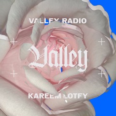 Valley Radio 002 - Kareem Lotfy