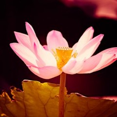 O Mere Sanam O Mere Sanam