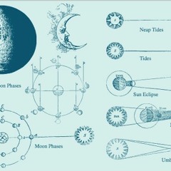 somascape - somabytes_played at Jaithep 2019