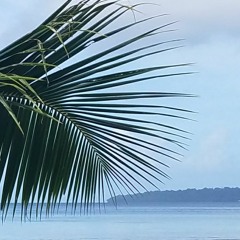 Inemes Meni Maram Sunset