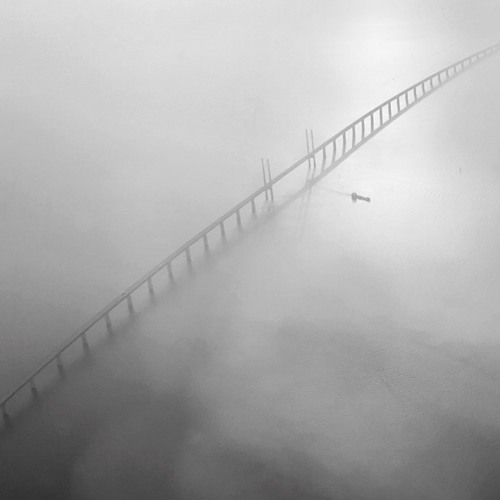 Let's Take A Long Walk