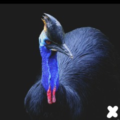 Rheda Andrews & Siyana - Gecko (Original Mix)