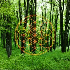 Jungle Meditation - VAM Mantra - Sacral Chakra