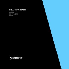 Sebastian G. Clarke - River (Nopi Remix)