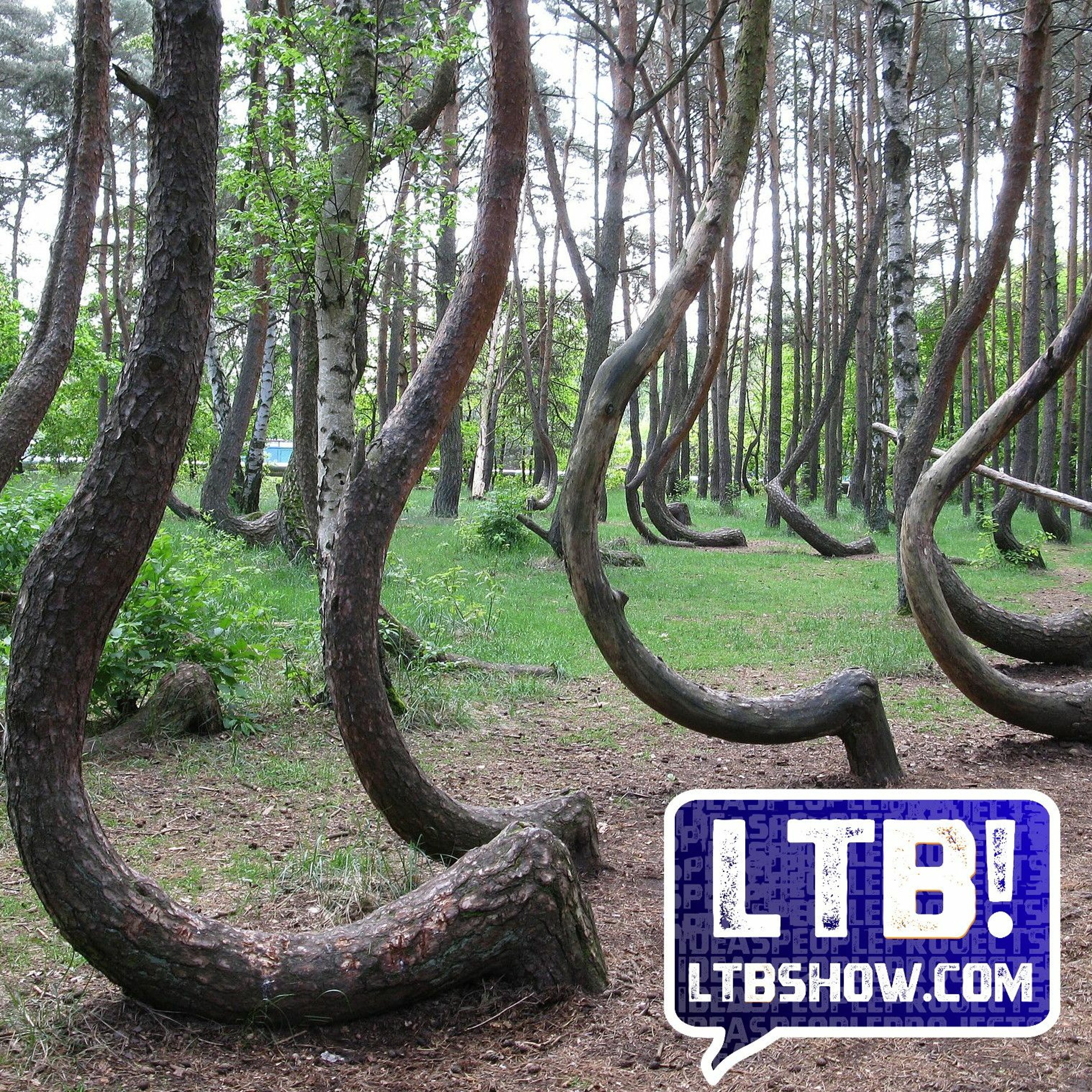 LTB #411 Grow to Fit