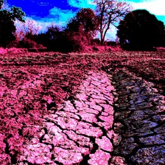 Follow the River Home