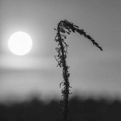 Later That Evening   /   Ft. Ed Cunningham