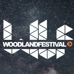 WOODLAND PAOLO VASQUEZ - TECHNO FEELING 3