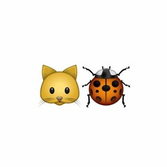 Martin Solveig X Post Malone - Hello And Congratulations