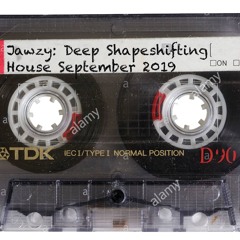 DEEP SHAPE SHIFTING HOUSE SEPTEMBER VOLUME 12
